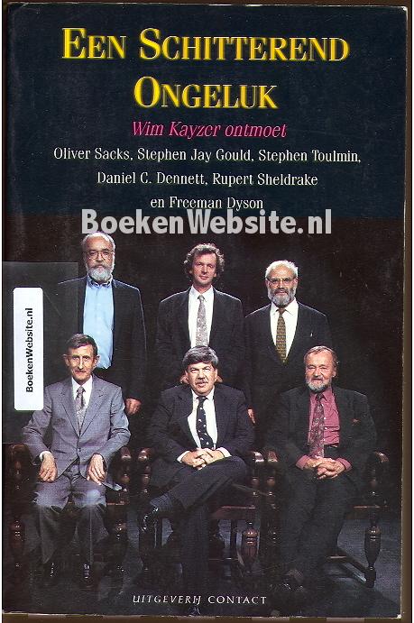 Een Schitterend Ongeluk