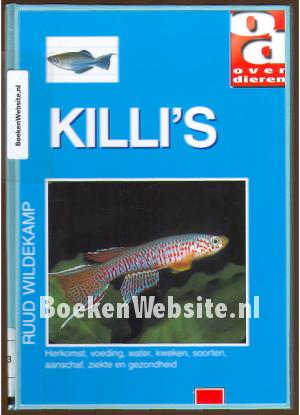 Killi's Killi's