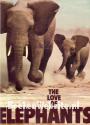 The Love of Elephants