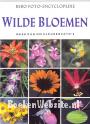 Rebo foto encyclopedie Wilde Bloemen