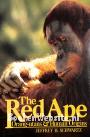 The Red Ape Orang-utans & Human Origins