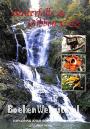 Waterfalls & Gibbon Calls