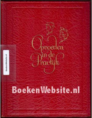 Opvoeden in de practijk