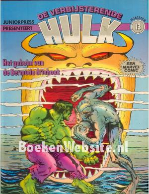 13 Het geheim van de Bermuda driehoek