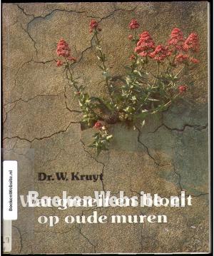 Wat groeit en bloeit op oude muren