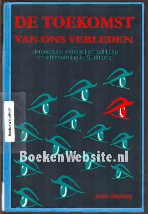 De toekomst van ons verleden