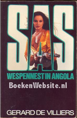 1995 Wespennest in Angola
