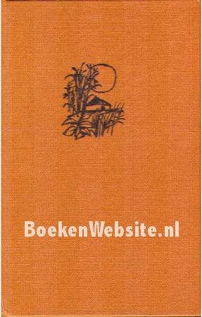 Pioniers in de rimboe Pioniers in de rimboe