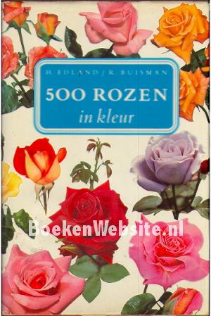 500 rozen in kleur