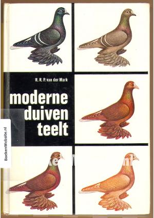 Moderne duiventeelt