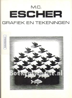Grafiek en tekeningen