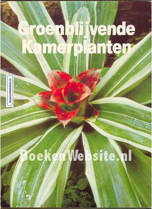 Groenblijvende Kamerplanten