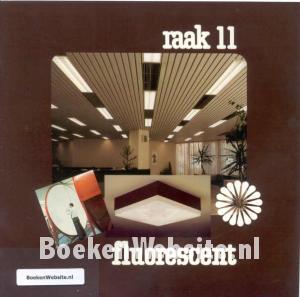 Raak 11 Lichtarchitectuur