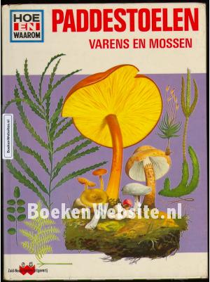 Paddestoelen, varens en mossen