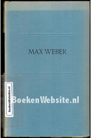 Soziologie, Analysen, Politik