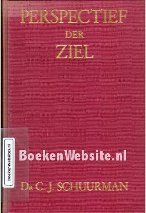 Perspectief der Ziel