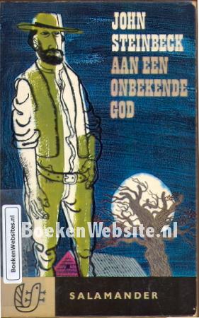 Aan een onbekende god