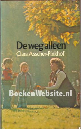 De weg alleen