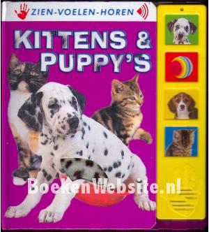 Kittens & Puppy's