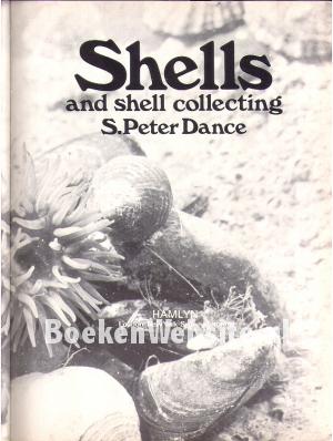 Shells and shell collecting