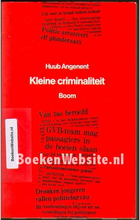 Kleine criminaliteit