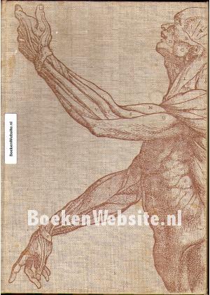 Het wonder van het menselijk lichaam