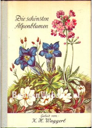 De schönsten Alpenblumen