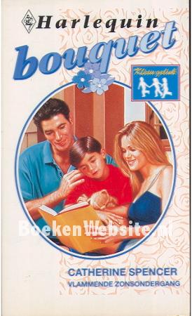 1685 Vlammende zonsondergang