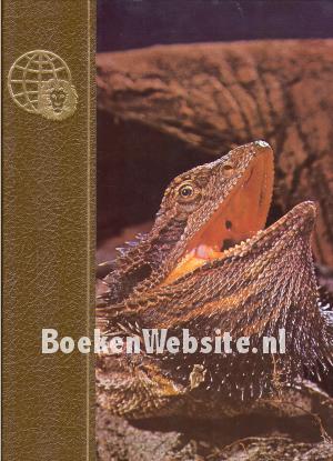 Australien I Australien I