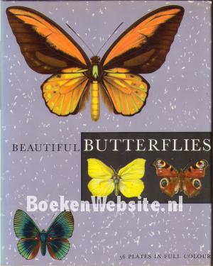 Beautiful Butterflies
