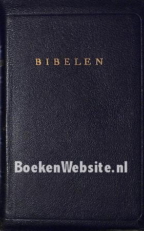 Bibelen eller den hellige skrift