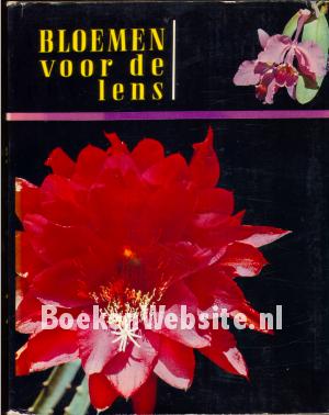 Bloemen voor de lens