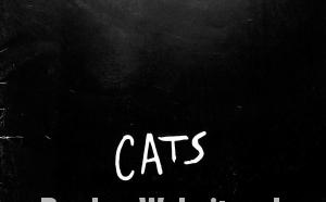 Cats programmaboekje