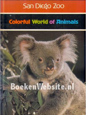 Colorful World of Animals
