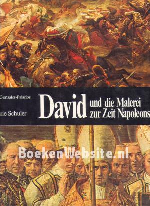 David und die Malerei zur Zeit Napoleons David und die Malerei zur Zeit Napoleons