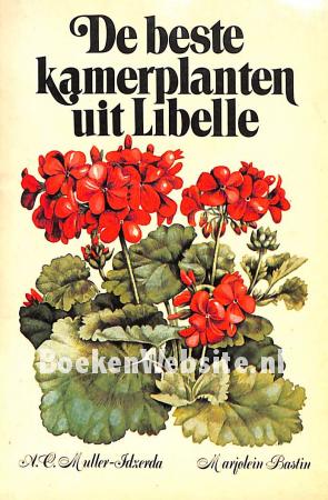 De beste kamerplanten uit Libelle De beste kamerplanten uit Libelle