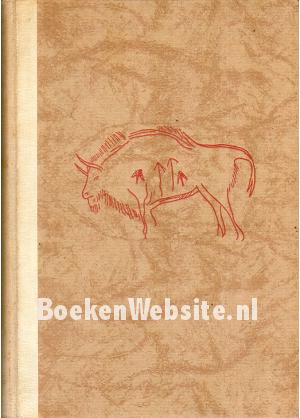 De geheimzinnige grot De geheimzinnige grot