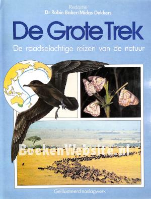De Grote Trek