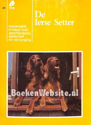 De Ierse Setter