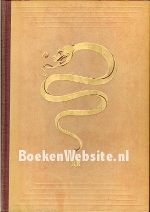 De weg van een chirurg