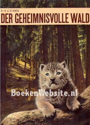 Der geheimnisvolle Wald