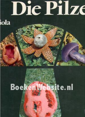 Die Pilze Die Pilze