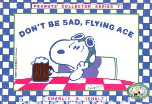 Don't be Sad, Flying Ace Don't be Sad, Flying Ace