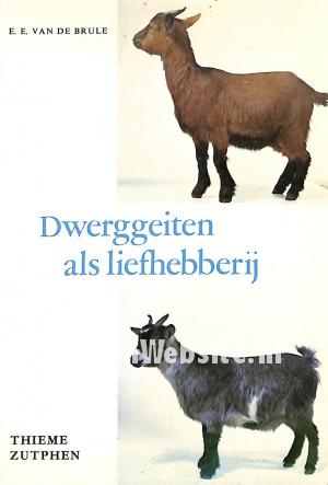 Dwerggeiten als liefhebberij