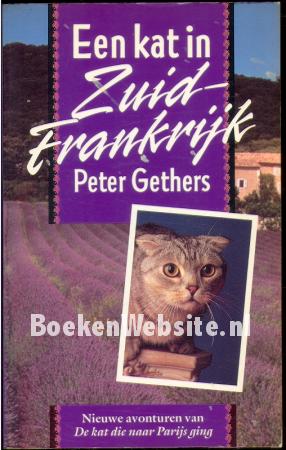 Een kat in Zuid-Frankrijk
