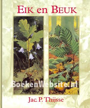 Eik en Beuk