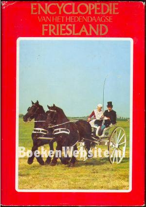 Encyclopedie van het hedendaagse Friesland 2