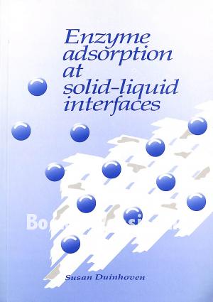 Enzyme adsorption at solid-liquid interfaces