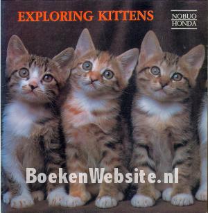 Exploring Kittens