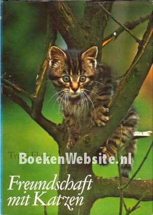 Freundschaft mit Katzen Freundschaft mit Katzen